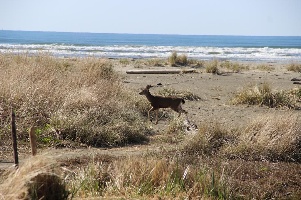 Quinault Beach Resort & Casino โอเชียนซิตี ภายนอก รูปภาพ